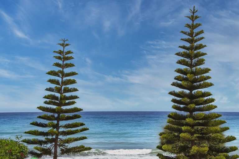 lstminloans