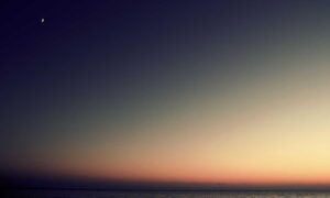 gifts for him lwspeakgift