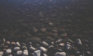 lwspeakgift gift guide by letwomenspeak