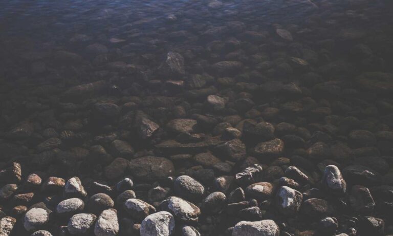 lwspeakgift gift guide by letwomenspeak