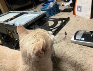 lwspeakgift gift guide by letwomenspeak