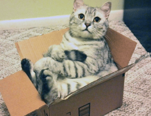 lwspeakgift gifts for her from letwomenspeak