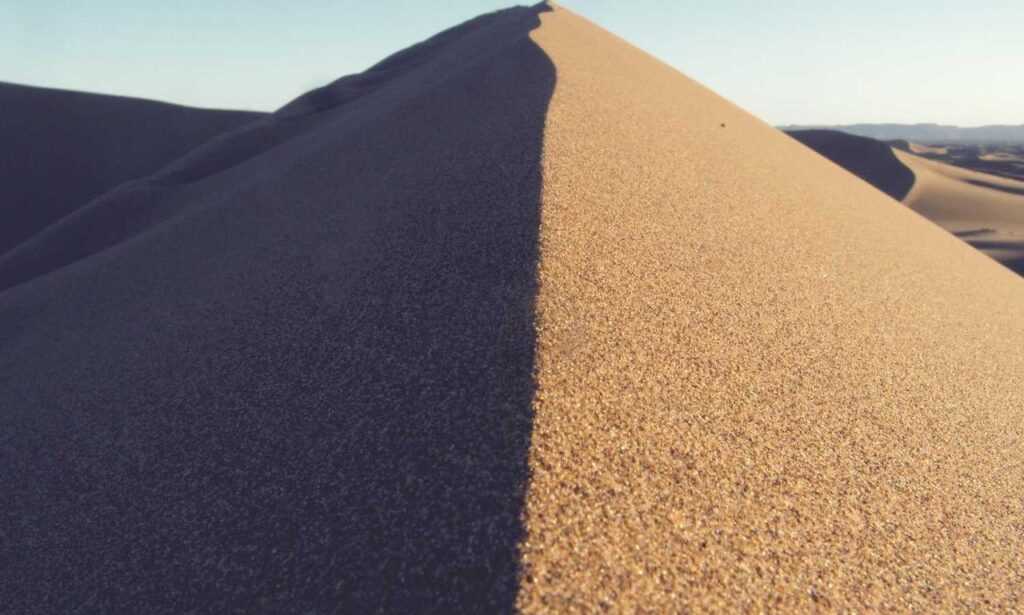 what are last minute gift ideas lwspeakgift