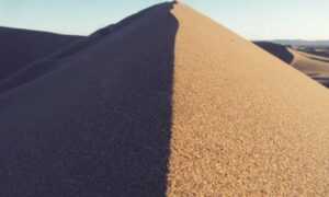 what are last minute gift ideas lwspeakgift