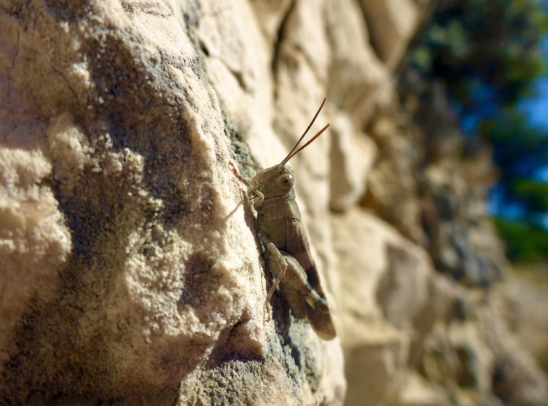 Gifts for the Family Lwspeakgift