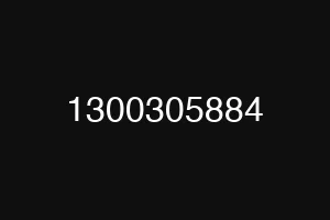 1300305884