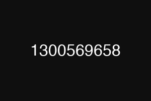 1300569658