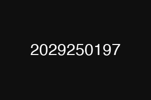 2029250197