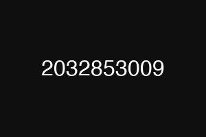 2032853009