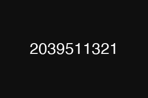 2039511321