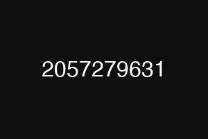 2057279631
