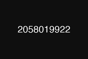 2058019922