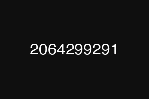 2064299291