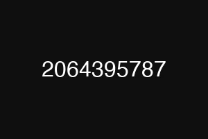 2064395787