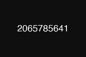 2065785641