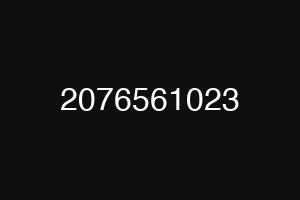 2076561023