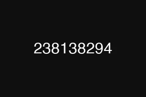 238138294