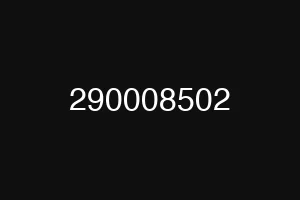 290008502