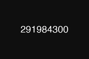291984300