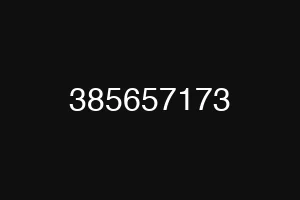 385657173