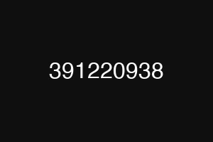 391220938