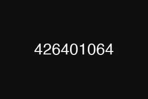 426401064