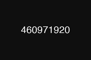 460971920