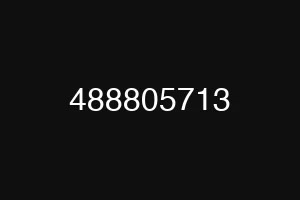 488805713