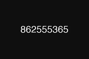 862555365