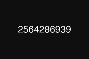 2564286939