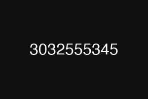 3032555345