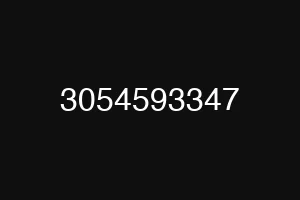 3054593347