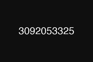 3092053325