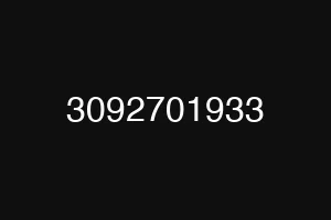 3092701933