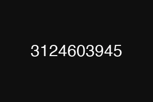 3124603945