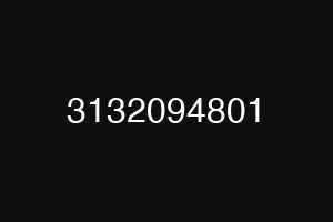 3132094801