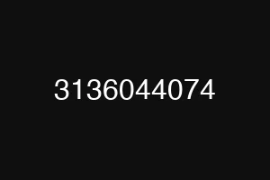 3136044074