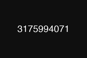 3175994071