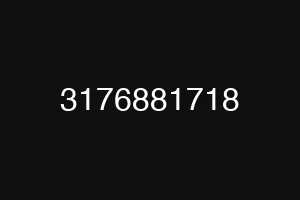 3176881718