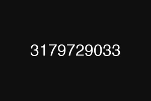 3179729033