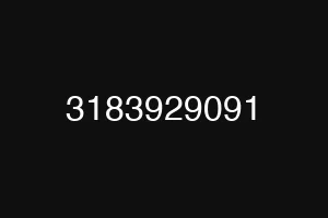 3183929091